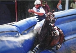 Фотография Надувные защитные борта для занятий и соревнований по конному спорту из ткань ПВХ (PVC) ТаймТриал