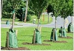 Фотография Мешок ПВХ для самополива и автополива деревьев из ткань ПВХ (PVC) ТаймТриал