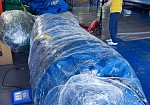 Фотография Пневмокаркасная палатка ПКП ТТ- 180 из ткань ПВХ (PVC) ТаймТриал