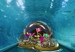 Фотография Надувные водные круги, ватрушки, рафты для аквапарков из ткань ПВХ (PVC) ТаймТриал