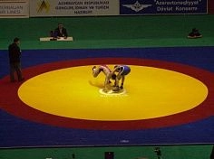 Фотография Универсальный спортивный снаряд – борцовский ковер из ПВХ (PVC) ТаймТриал