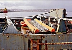 Фотография Надувной аварийный бортовой трап для спуска с корабля, яхты и судна из ПВХ (PVC) ТаймТриал