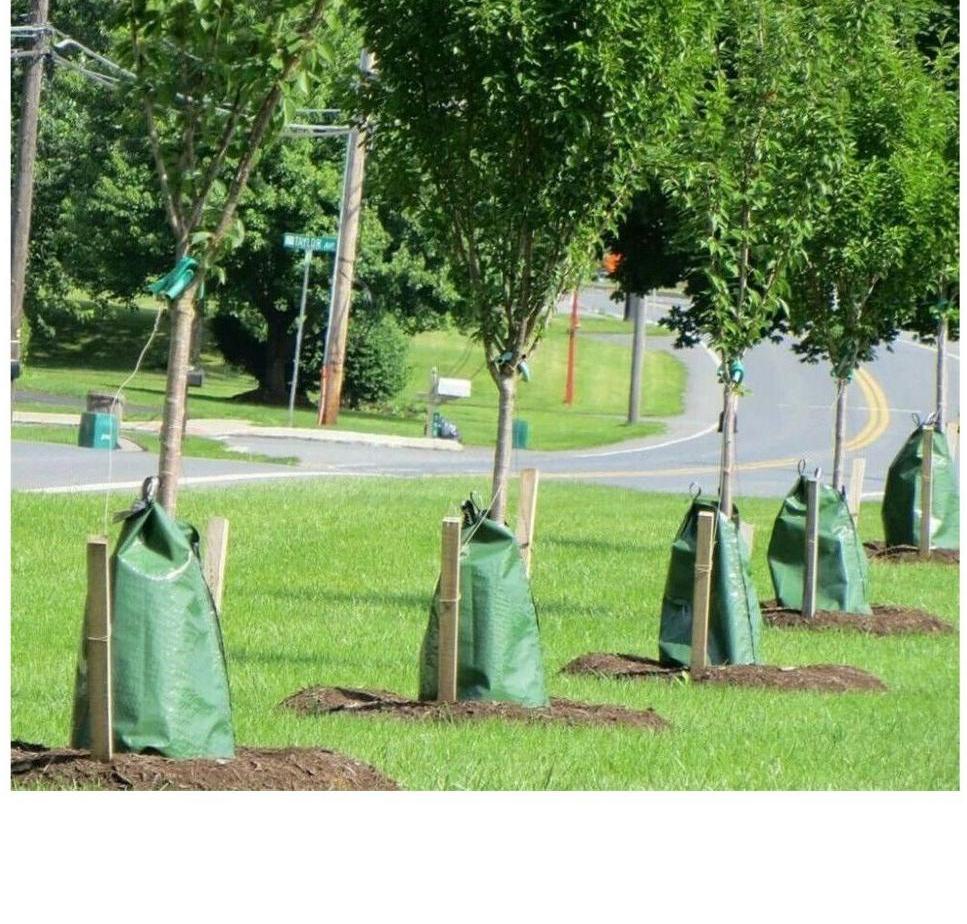 Фотография Мешок ПВХ для самополива деревьев из ПВХ ТаймТриал