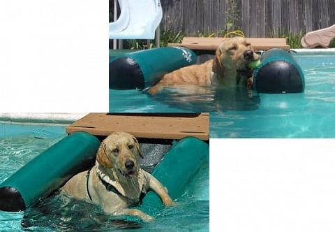 Надувной «собачий причал» с платформой