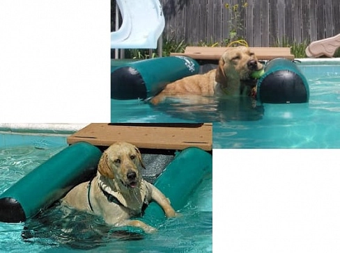 Надувной «собачий причал» с платформой