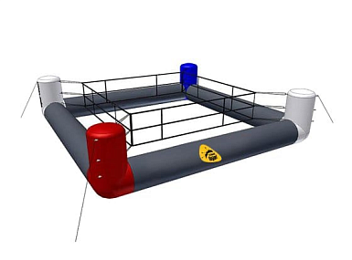 Надувной боксерский ринг в школе: инновации в спорте, безопасности и воспитании