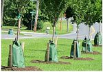 Фотография Мешок ПВХ для самополива деревьев из ПВХ ТаймТриал