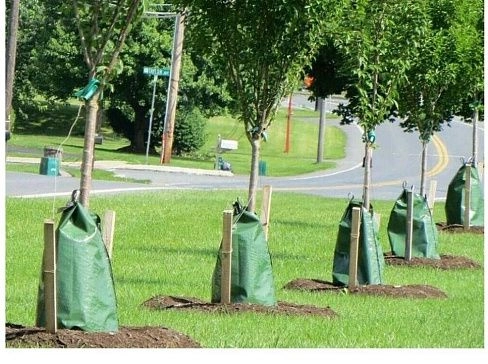 Мешок ПВХ для самополива и автополива деревьев