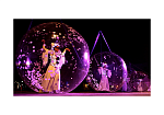 Фотография Прозрачный шар для танцев из прочной ТПУ пленки 0.7 мм из ТПУ 0,7 мм ТаймТриал