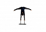 Фотография Двойная цирковая трость с раздельными платформами для стойки на руках из ДЕРЕВО ТаймТриал