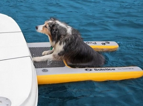 Надувная платформа для вылезания собаки из воды на яхту, лодку