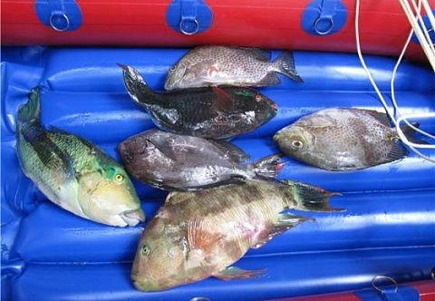 Надувной плотик буй для подводной охоты. Легкий плот из TPU