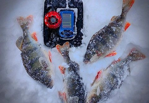 ЭХОЛОТ ПРАКТИК 8