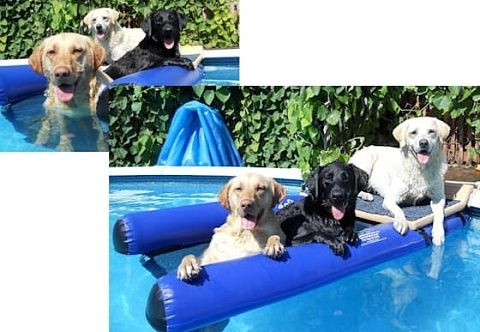 Надувной «собачий причал» с платформой