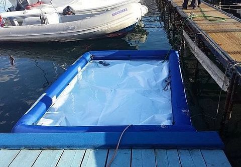 Надувной бассейн для купания в открытом море (понтонный)