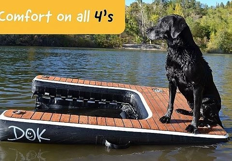 Надувная платформа для вылезания собаки из воды на яхту, лодку