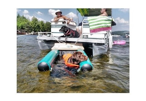 Надувной «собачий причал» с платформой