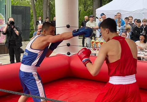 Надувной быстросборный мобильный боксерский ринг с навесом для бокса, кикбоксинга