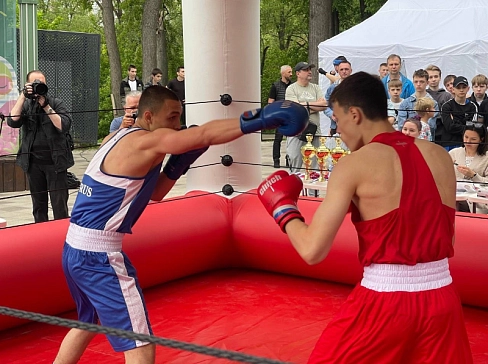 Надувной быстросборный мобильный боксерский ринг с навесом для бокса, кикбоксинга