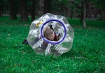 Фотография Надувной детский шар для «Бампербола» из ТПУ 0,7 мм ТаймТриал