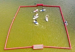 Фотография Надувное поле с воротами для SUP polo из ПВХ ТаймТриал
