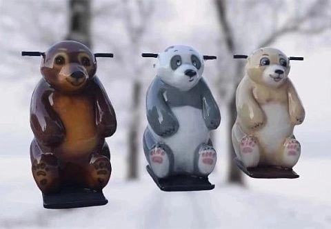 Ассистент фигуриста 