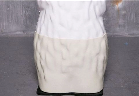 Ассистент фигуриста 