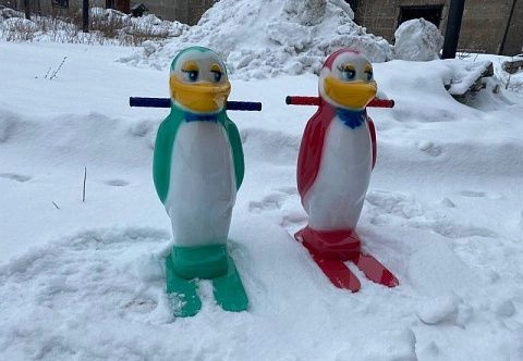 Ассистент фигуриста 