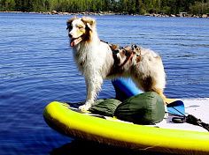 Фотография "FAMILY SUP BOARD" - Надувная доска (сапборд) - "Семейный САП" из AIRDECK (DWF) ТаймТриал