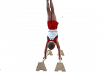 Напольные деревянные гимнастические стоялки (паралетсы) из ДЕРЕВО ТаймТриал