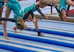 Фотография Надувное гимнастическое бревно «Курбет» из AIRDECK (DWF) ТаймТриал