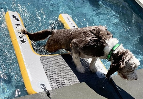 Надувная платформа для вылезания собаки из воды на яхту, лодку