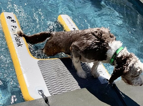 Надувная платформа для вылезания собак из воды на яхту, лодку