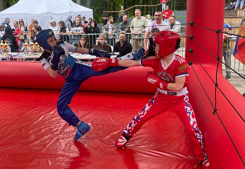 Надувной быстросборный мобильный боксерский ринг с навесом для бокса, кикбоксинга