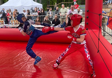 Надувной быстросборный мобильный боксерский ринг с навесом для бокса, кикбоксинга